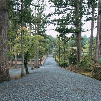 高野山の参道の写真