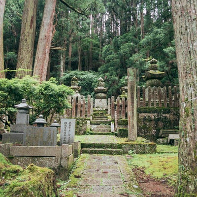 墓所へ続く道の写真