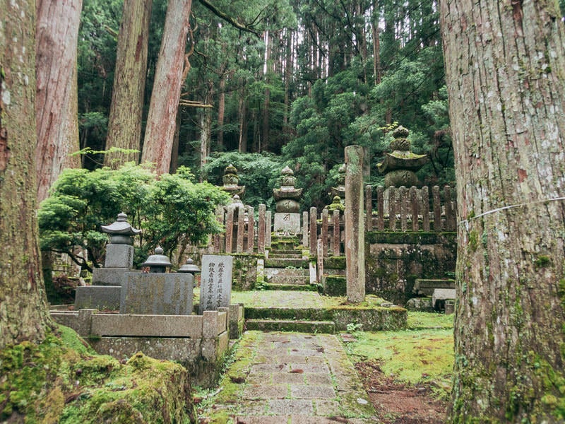 墓所へ続く道の写真