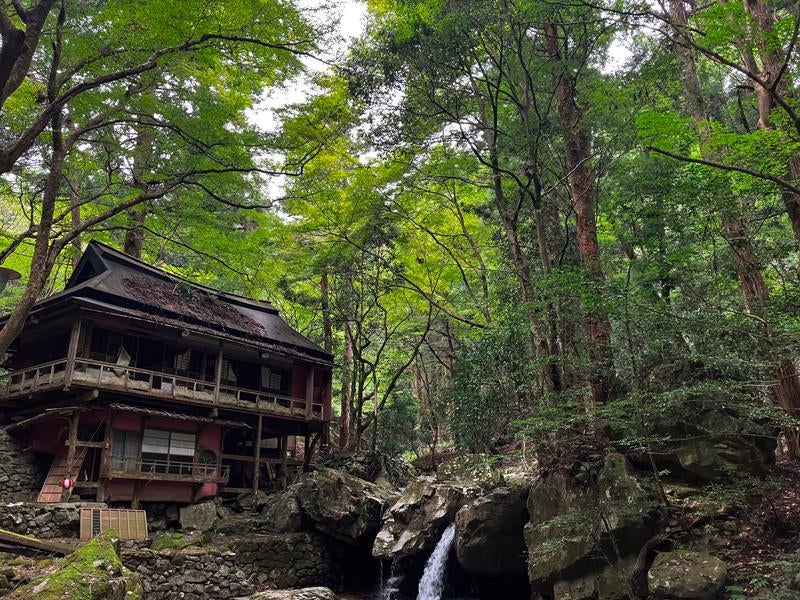 森に囲まれた休憩所の廃墟の写真