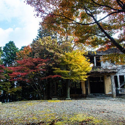 見ごろを迎える紅葉とケーブルカー駅舎跡の写真