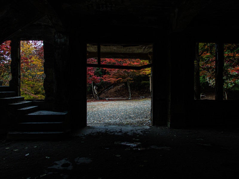 廃屋から見た外の紅葉の写真