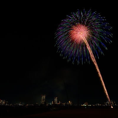 都会の夜空に打ち上がる花火の写真