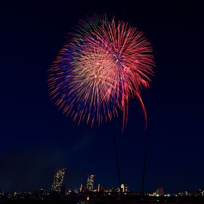 都会の夜空に打ち上げる花火の写真