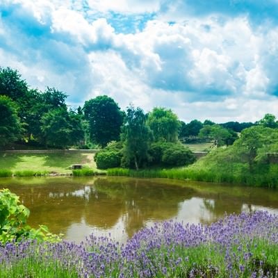 緑あふれるのどかな公園の写真