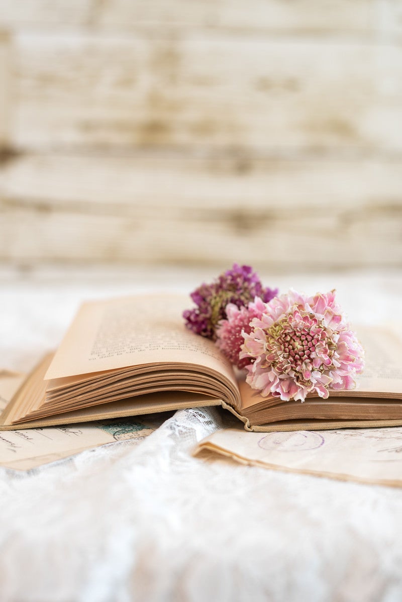 開いた洋書と花しおりの写真