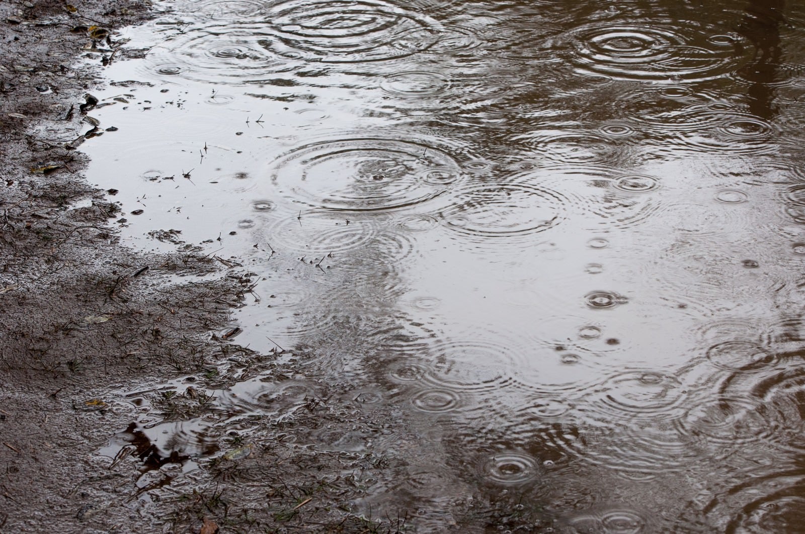 「雨の日」の写真