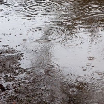 雨の日の写真