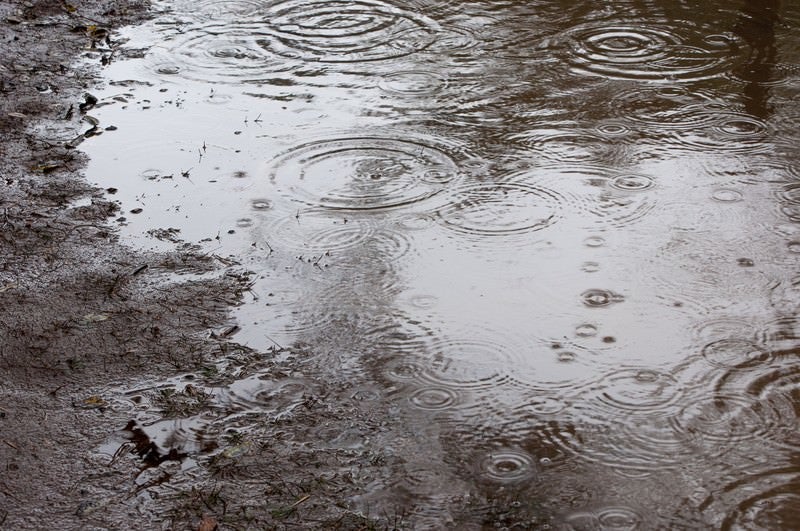 雨の日の写真