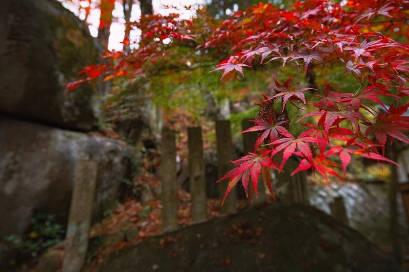 紅葉に包まれた岩角寺、秋の豊かな色彩の写真