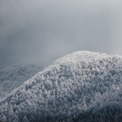 樹氷の山の写真