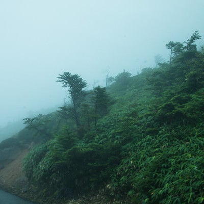 山道の吹き荒れる風雨の写真