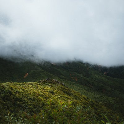 雲で覆われた山々の写真