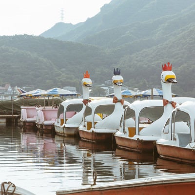 榛名湖のスワンボート（群馬県）の写真