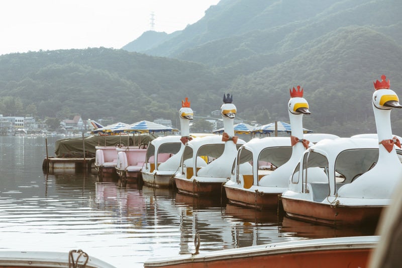 榛名湖のスワンボート（群馬県）の写真