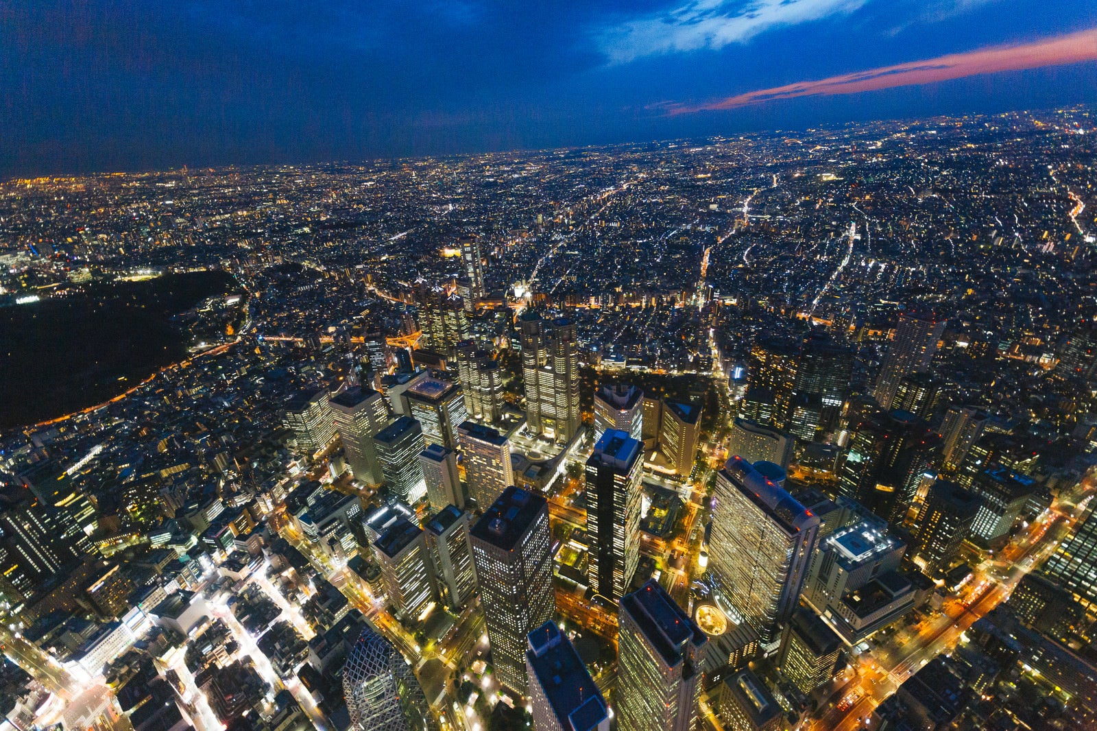 「新宿都庁上空の夜景」の写真