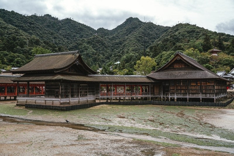 湿った地面と境内の建物の写真