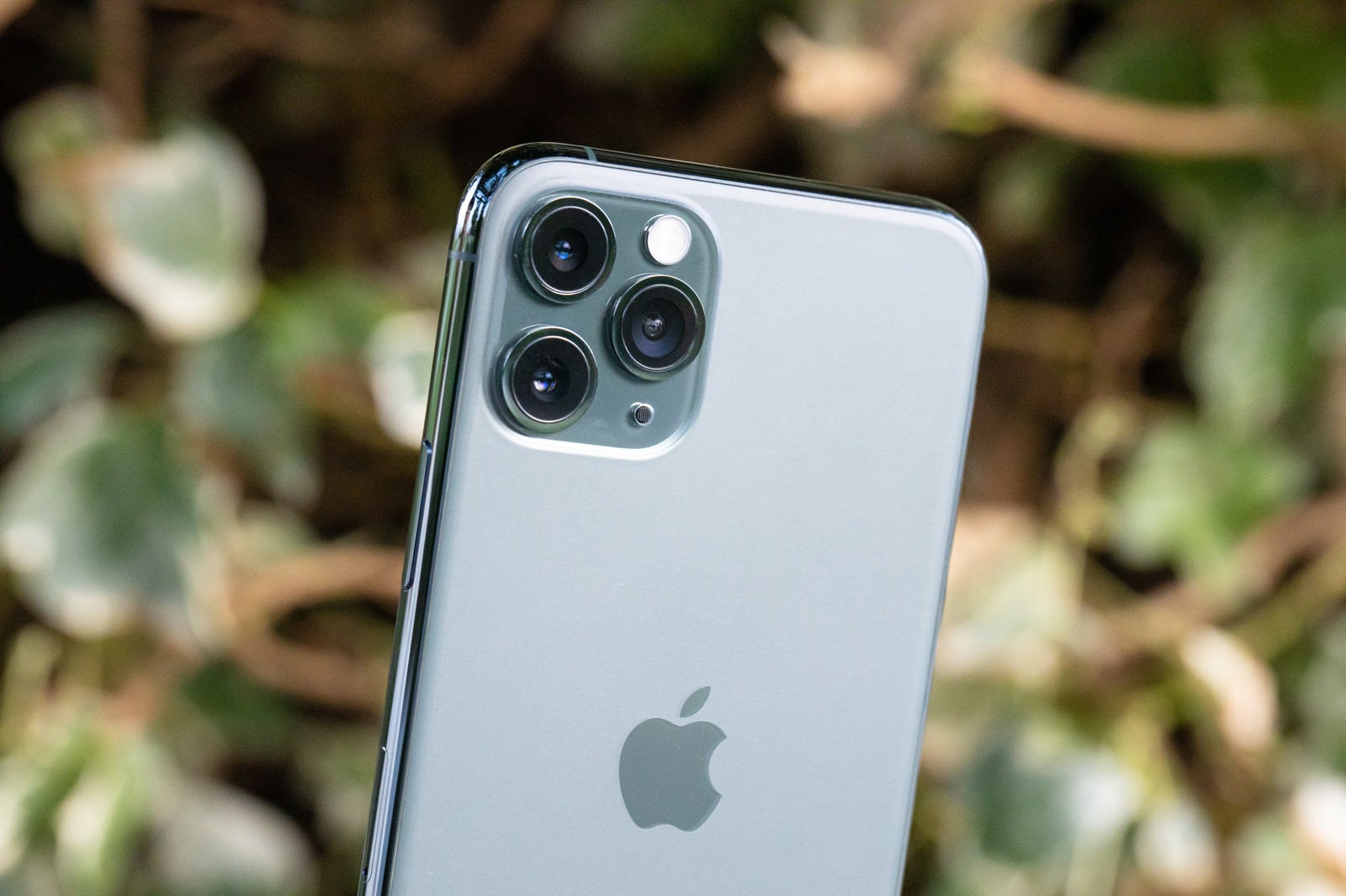 「望遠から超広角まで撮影できる iPhone 11 Pro」の写真