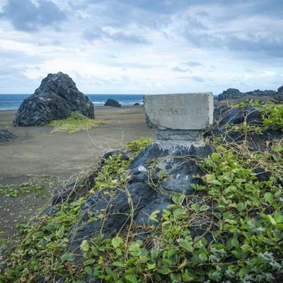 西大佐戦死の碑の写真