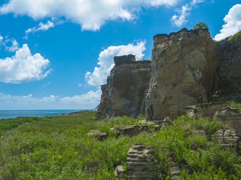 青空を背に立つ神山海岸の崖と広がる緑の写真