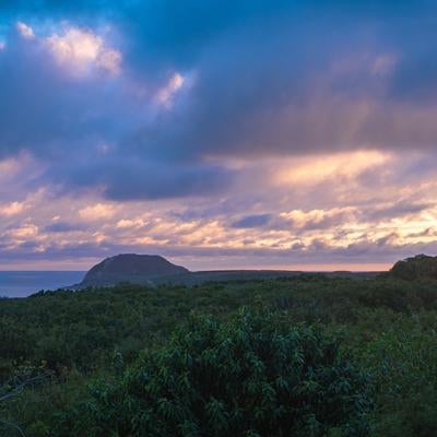 眼前に広がるジャングルの先に見える摺鉢山と黄昏色に輝く雲の写真