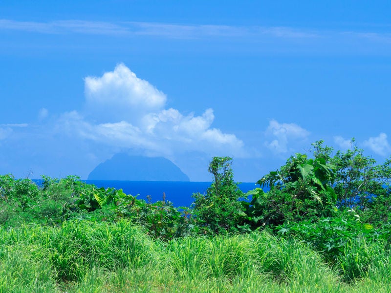 鬱蒼と茂る草木の向こう見える南硫黄島の写真