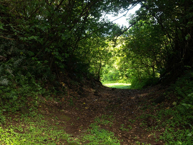 大阪山砲台に通じる道の写真