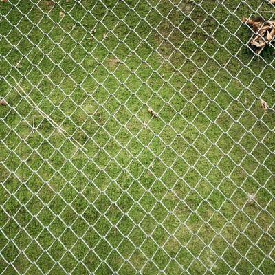 苔に覆われた擁壁とフェンスの写真