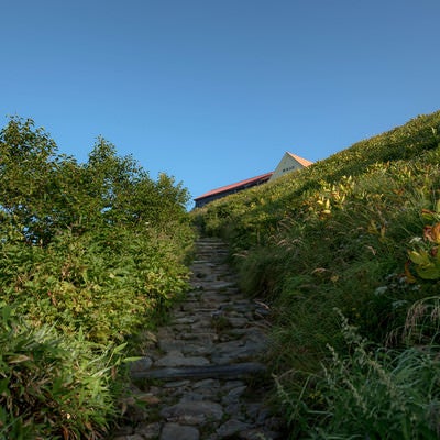 種池山荘へ伸びる道の写真