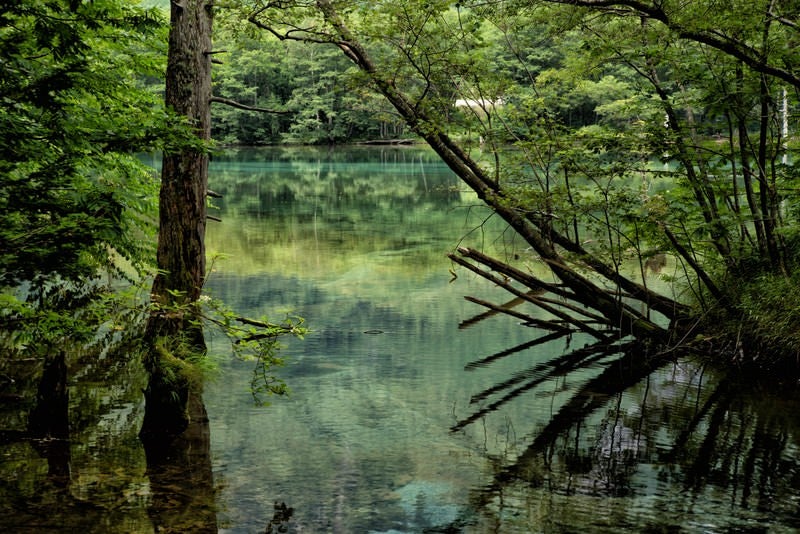 上高地の大正池の写真