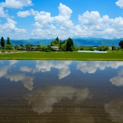 安曇野の水鏡の写真