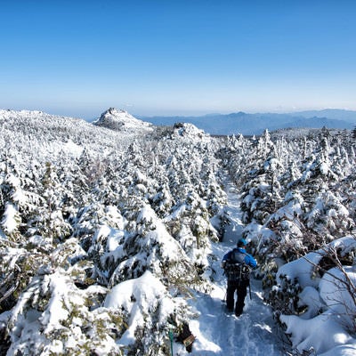 白く染まる樹林帯を進む登山者の写真