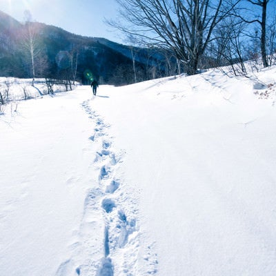 雪に残る足跡の写真