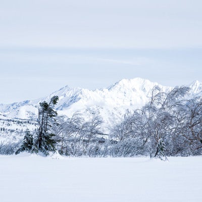 雪化粧した穂高連峰の稜線（飛騨山脈南部）の写真