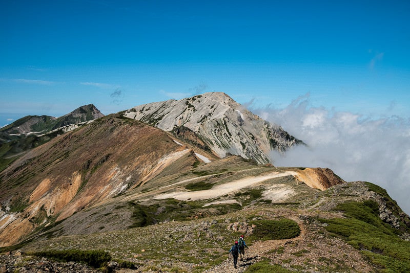 白馬鑓ヶ岳に続く登山道の写真