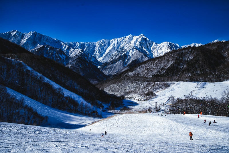 山岳美を楽しめるゲレンデ（鹿島槍スキー場）の写真