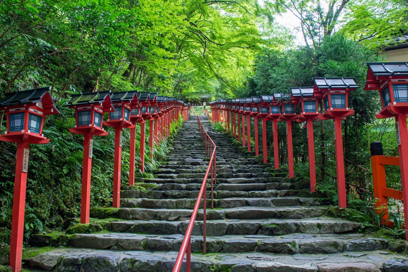 淡い緑と朱色の美しいコントラストが見られる貴船神社の石段（京都）の写真