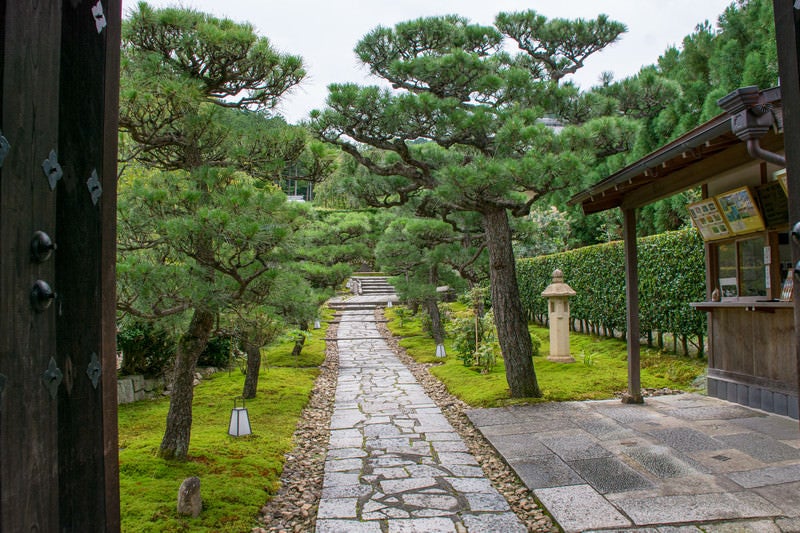 圓光寺山門から見える石畳の道（京都）の写真