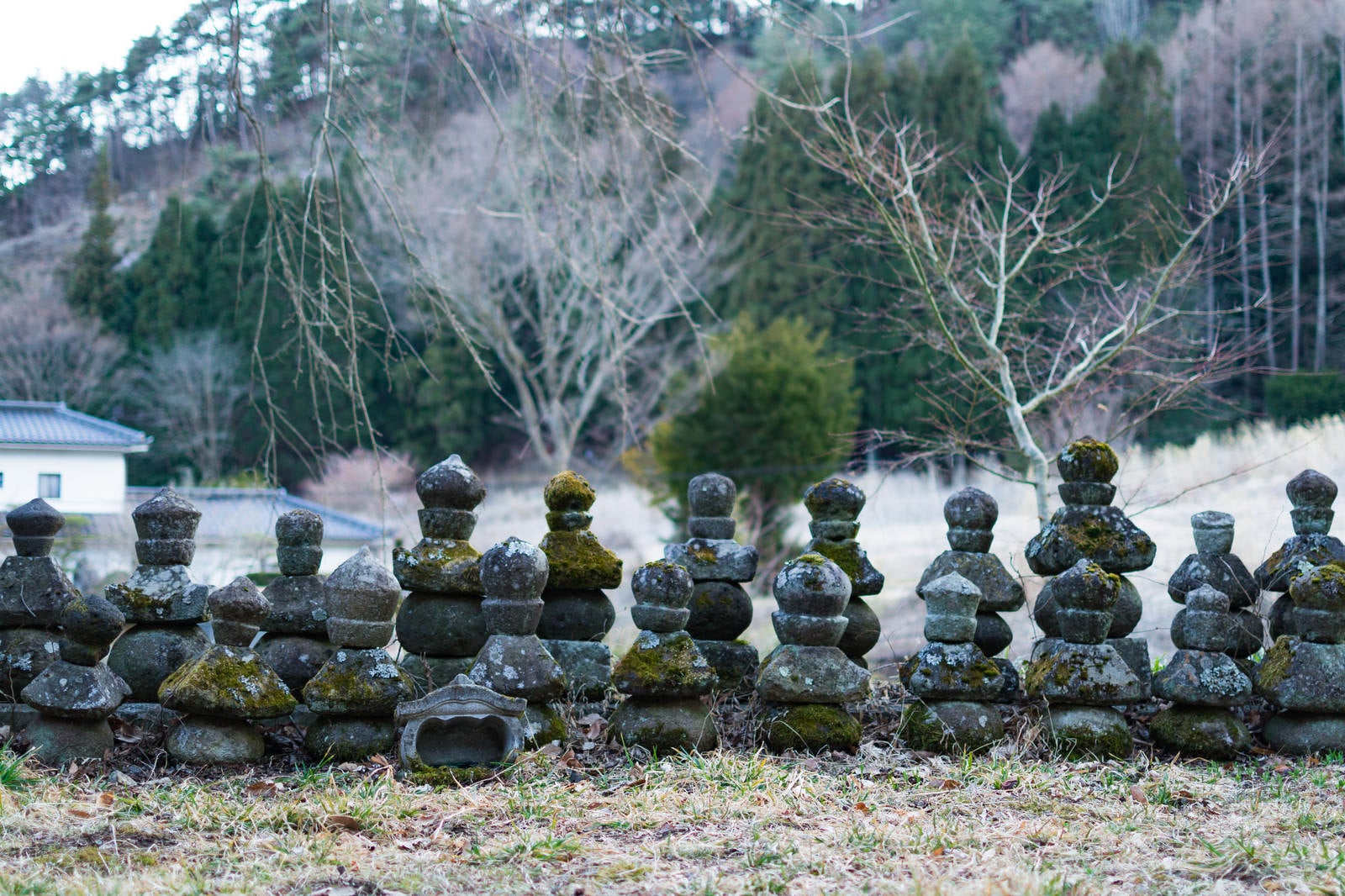 「鳥屋（とや）の弥勒堂」の写真