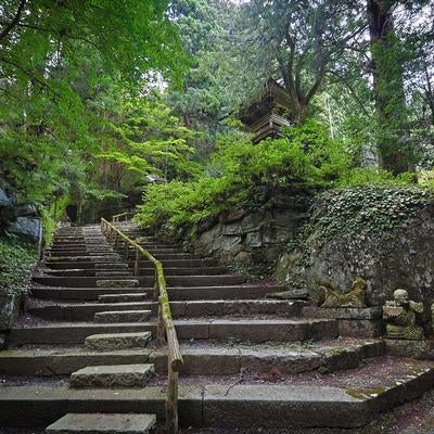 鐘楼への石段と東堂山満福寺の境内の写真