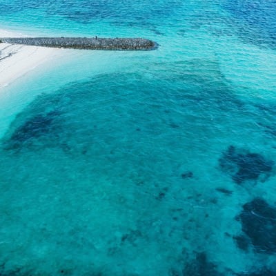 南国の海水浴場の写真