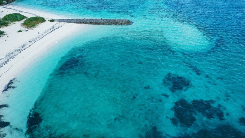 南国の海水浴場の写真