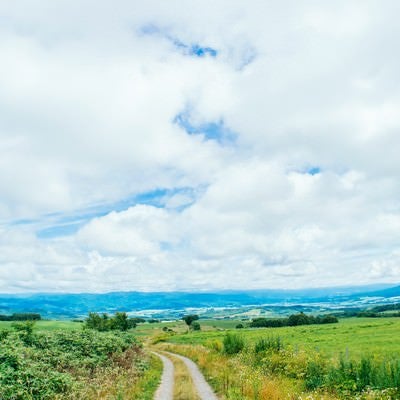 山の麓へ続く道の写真