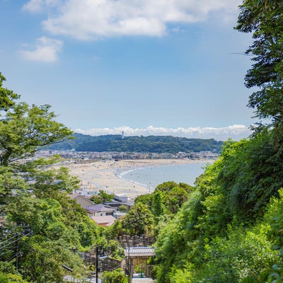 成就院から眺める夏の由比ヶ浜の写真