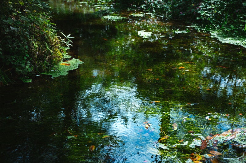 豊富に湧き出る「狩宿湧水」の写真