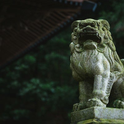 「王城山神社」の狛犬の写真