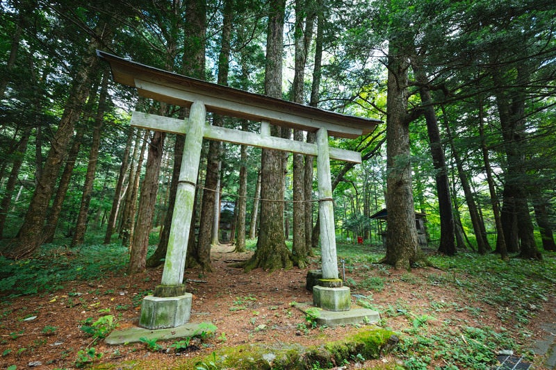 狩宿諏訪神社の鳥居の写真