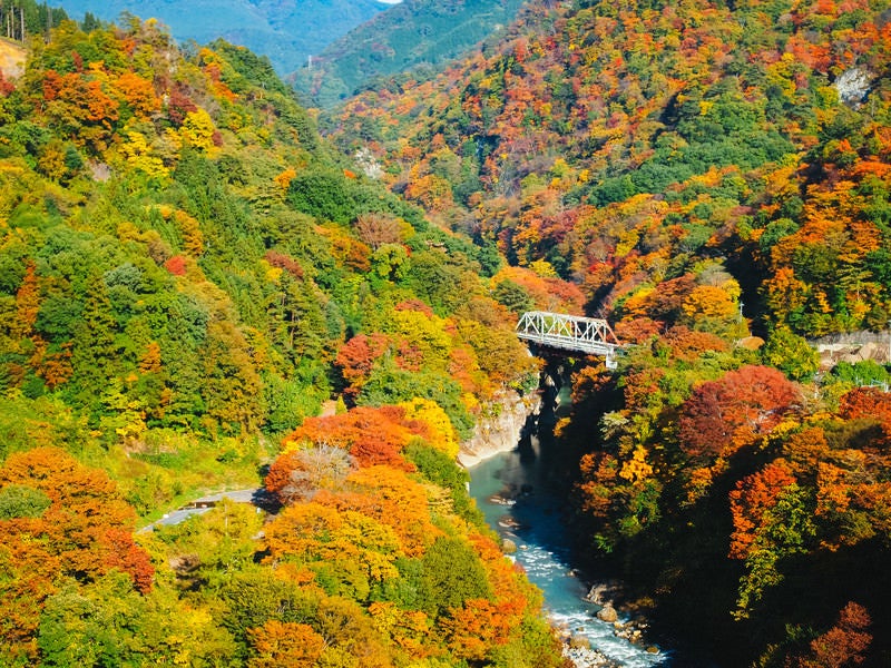 黄葉時期の吾妻峡の写真