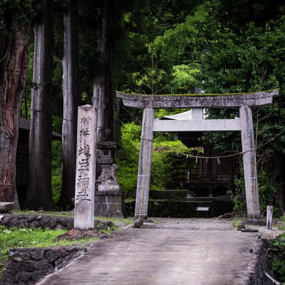 村社　地主神社の写真