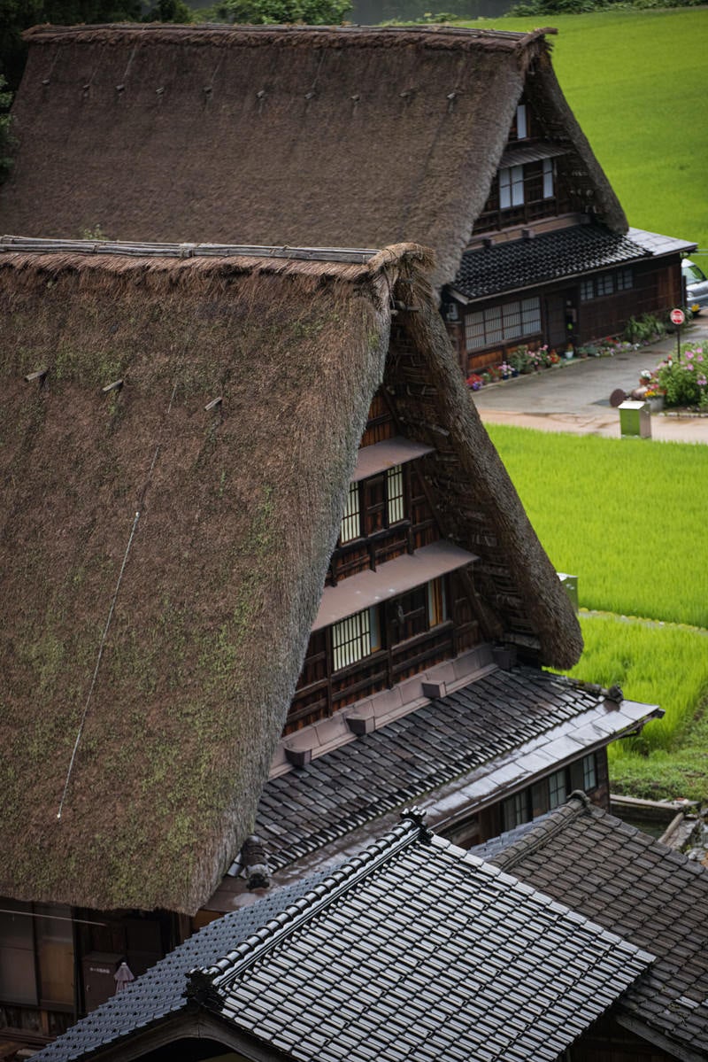 建ち並ぶ合掌造りの家屋の写真